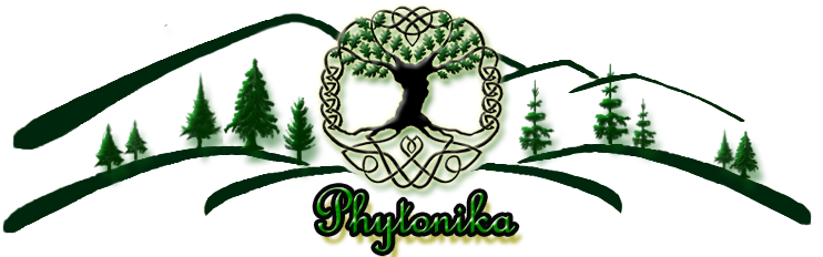 12 logo  forest  Phytonika